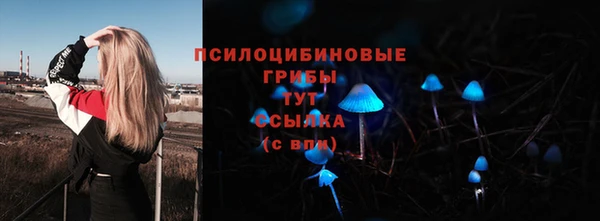 бошки Каменка